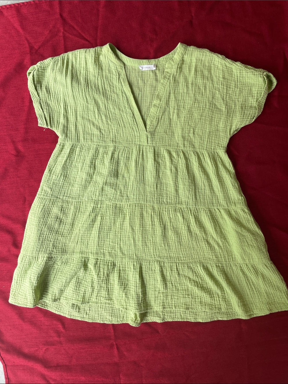 LUSH Light Sage Gauze V-Neck Top with Label